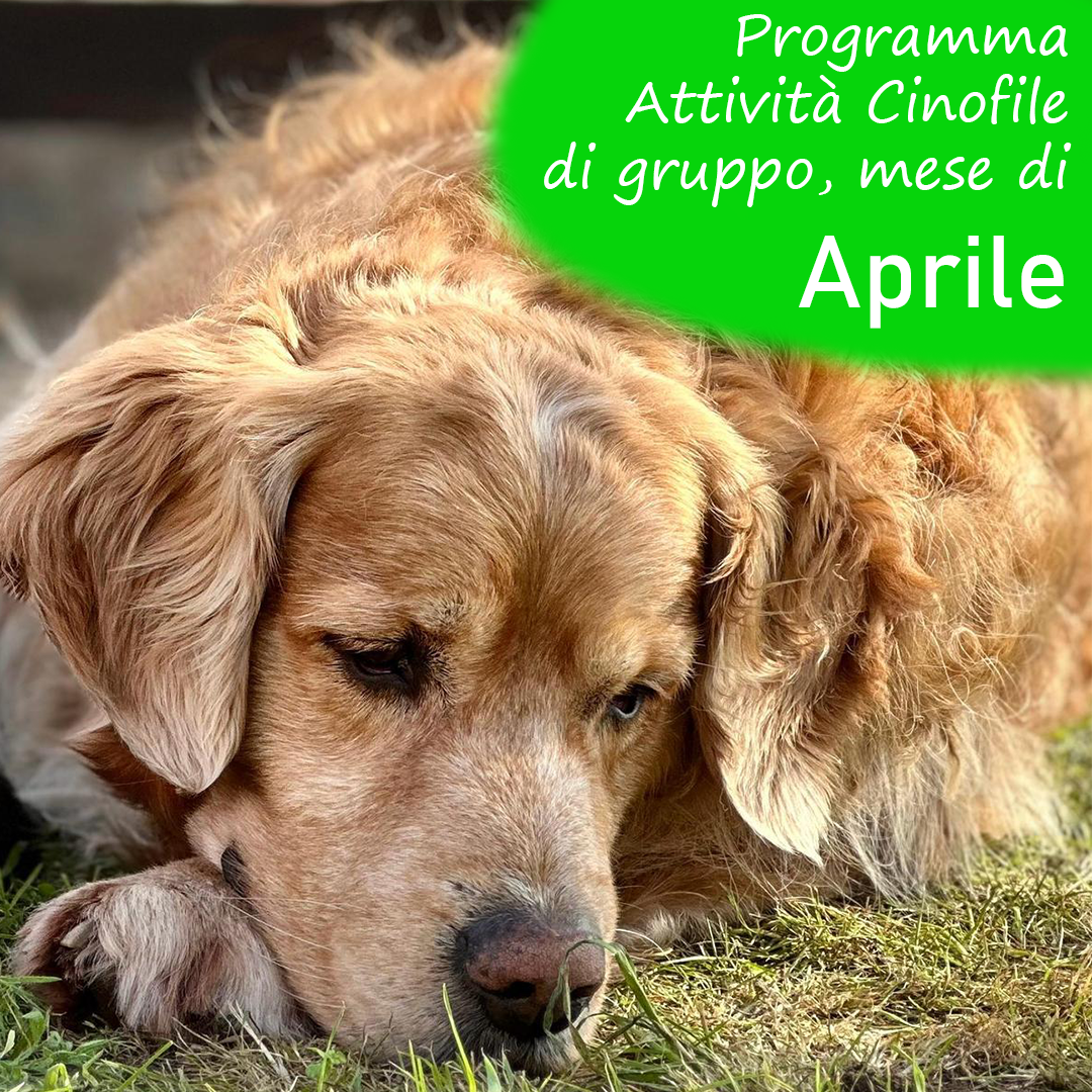 Slide Copertina Aprile 2025