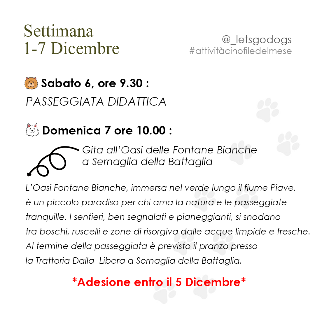 Slide 1 Dicembre 2025