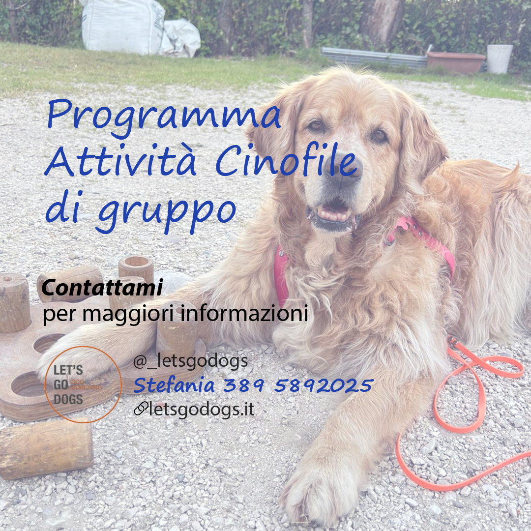 Slide Finale Giugno 2025