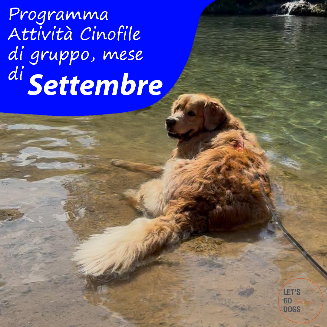 Slide Copertina Settembre 2025