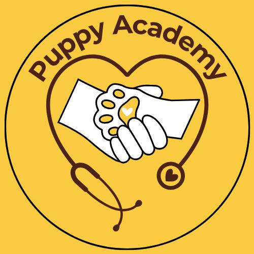 Immagine Puppy Academy