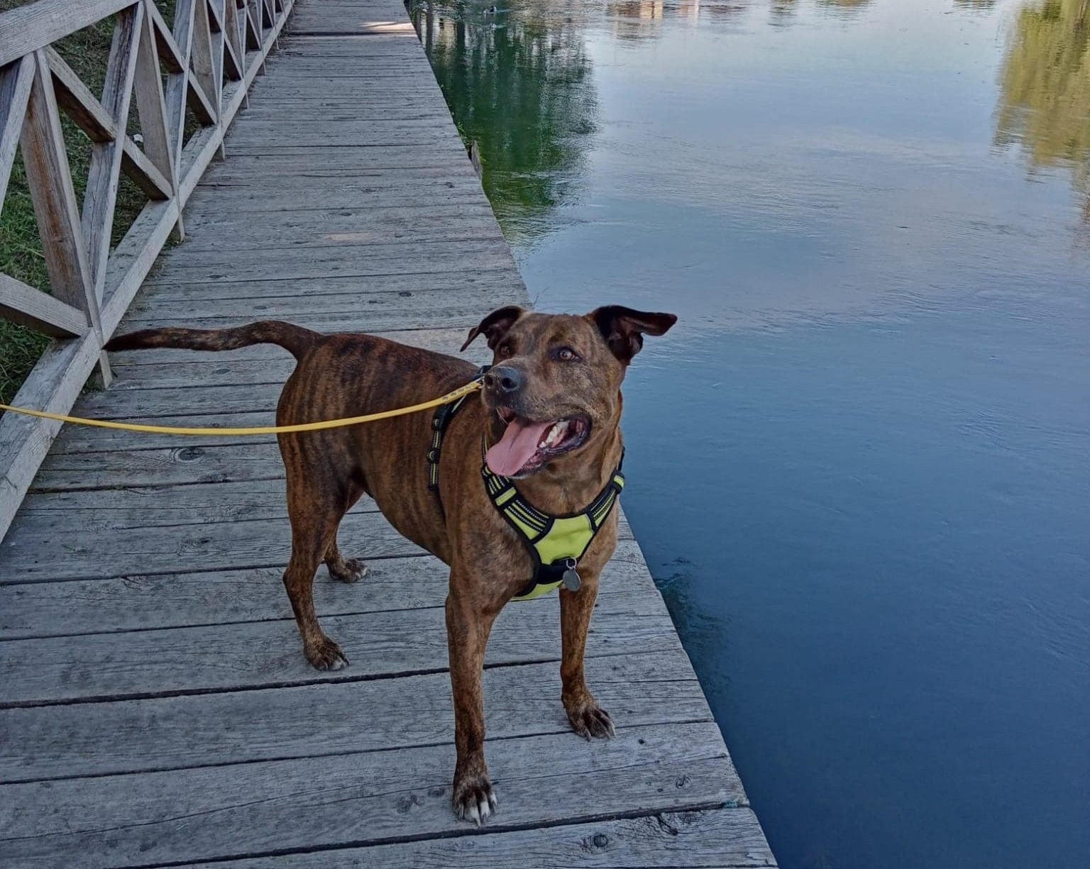 Immagine Percorsi Educativi