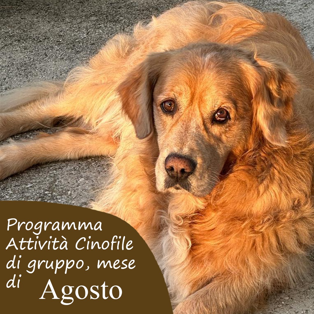 Slide Copertina agosto 2025