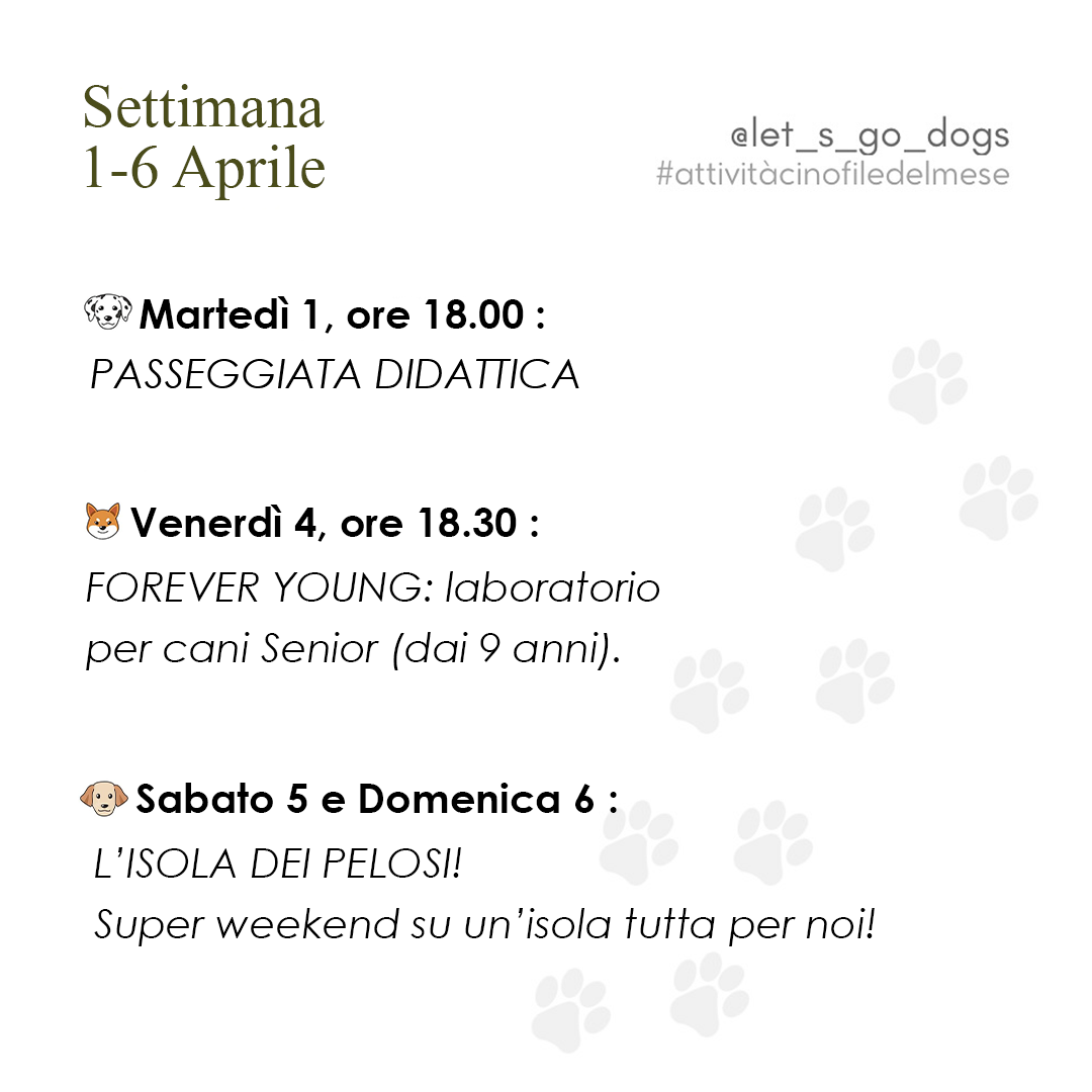 Slide 1 aprile 2025