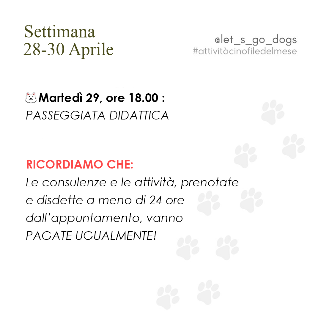 Slide 5 aprile 2025