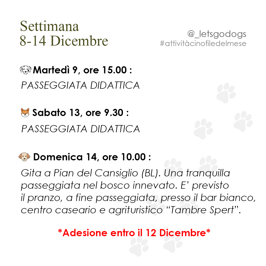 Slide 2 dicembre 2025