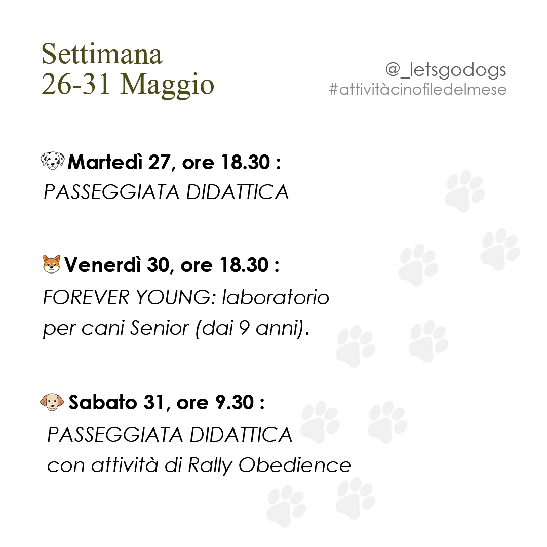 Slide 5 maggio 2025