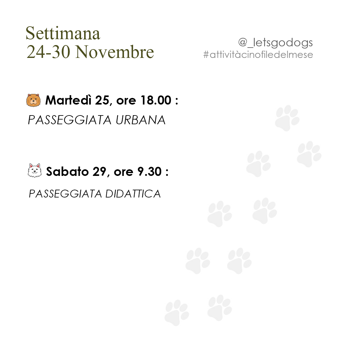 Slide 4 novembre 2025