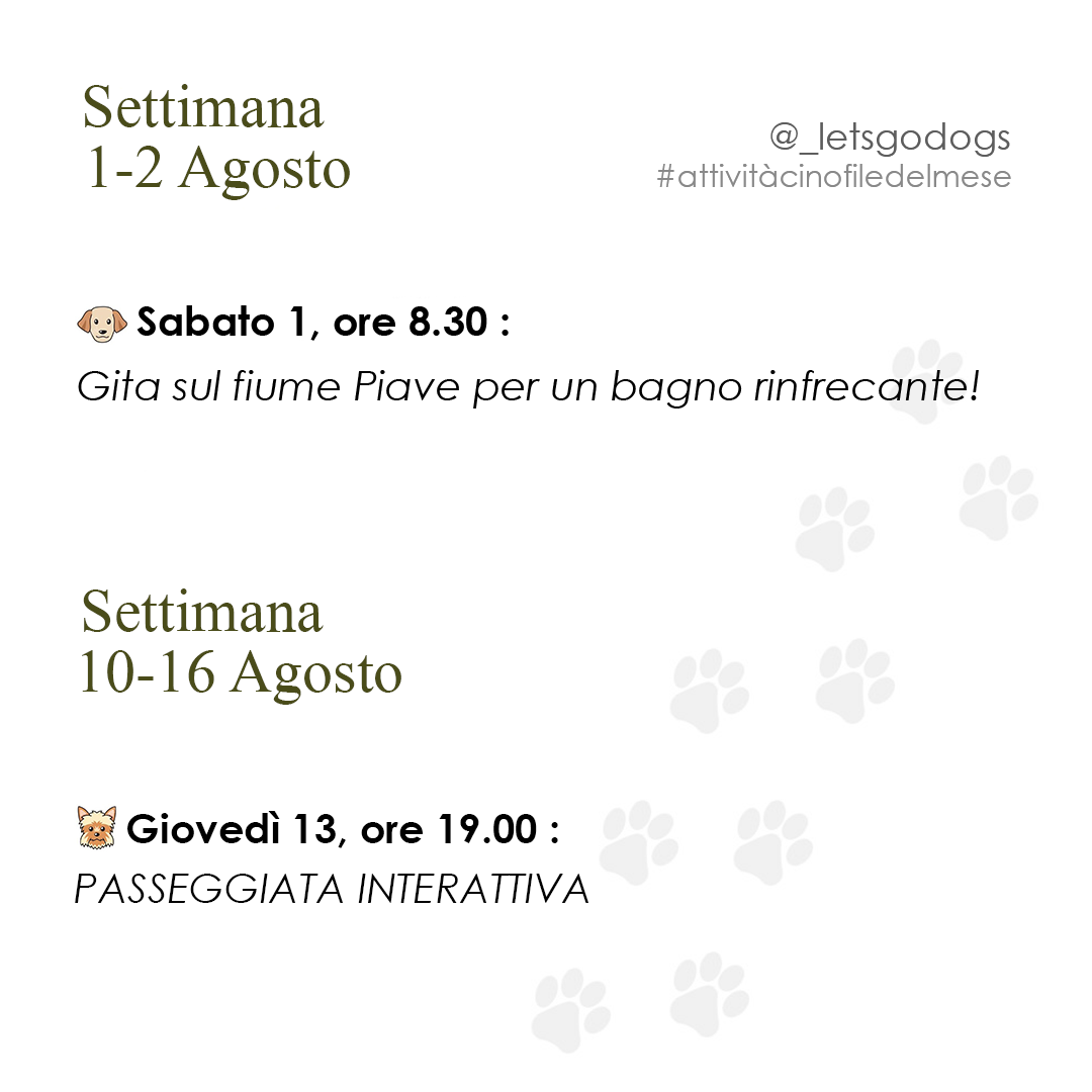 Slide 1 agosto 2026