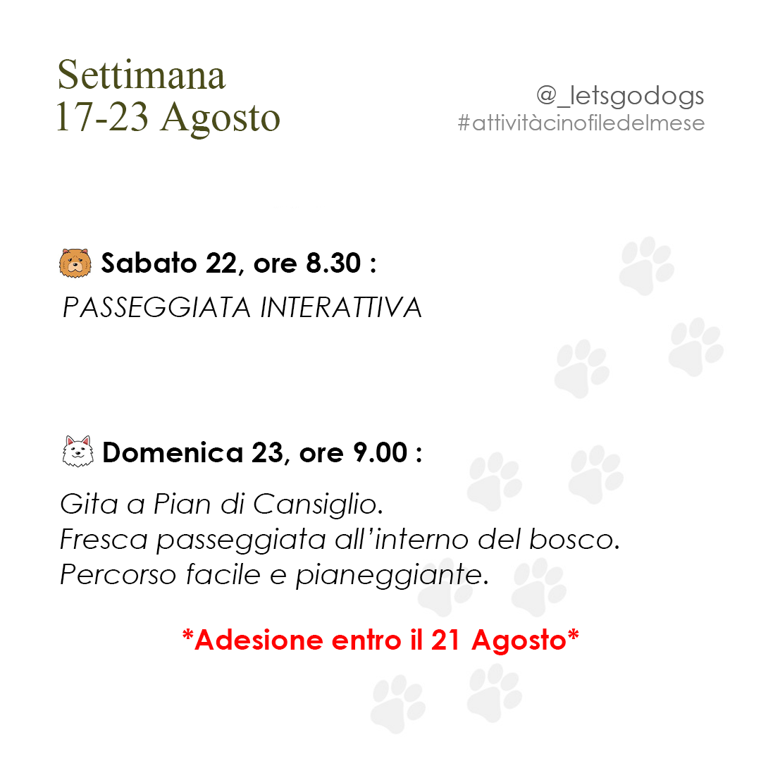 Slide 2 agosto 2026