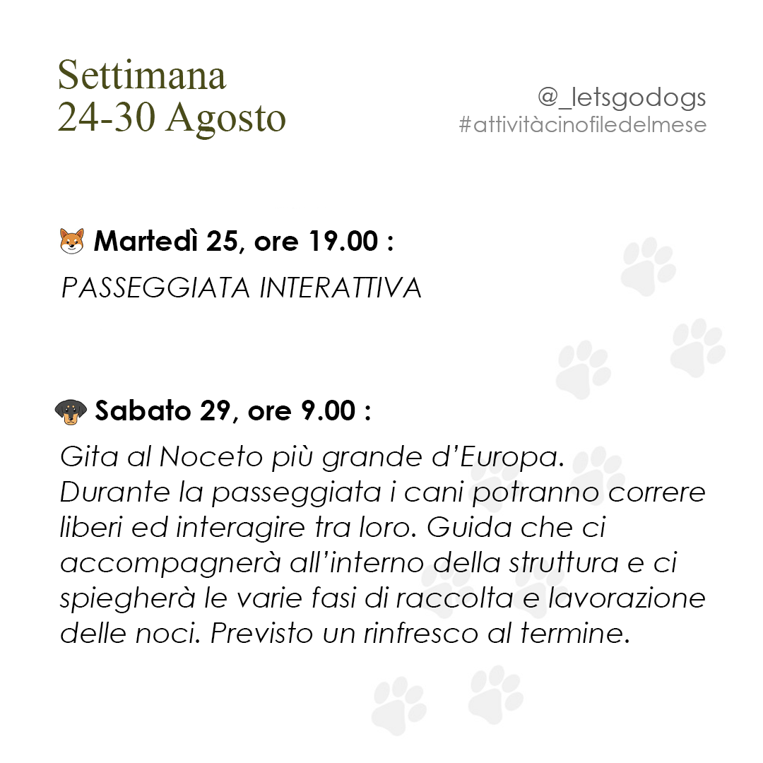 Slide 3 agosto 2026