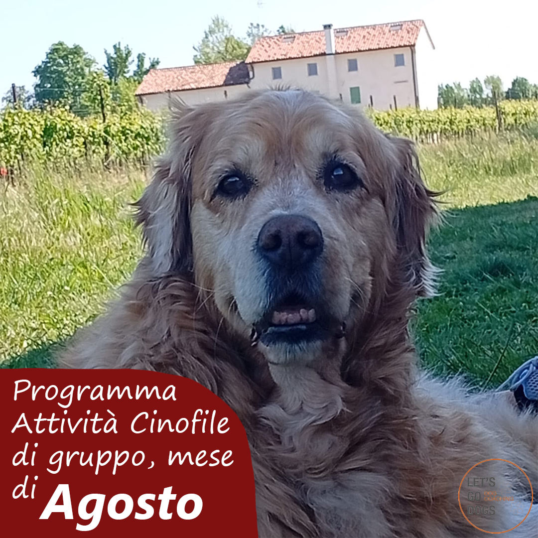 Slide Copertina agosto 2026