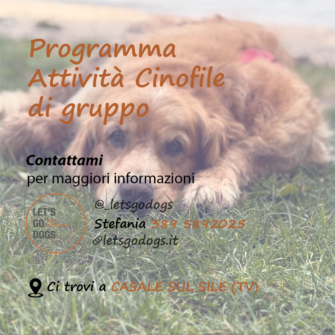 Slide Finale aprile 2026