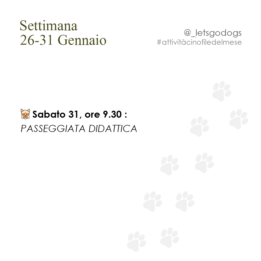 Slide 4 gennaio 2026