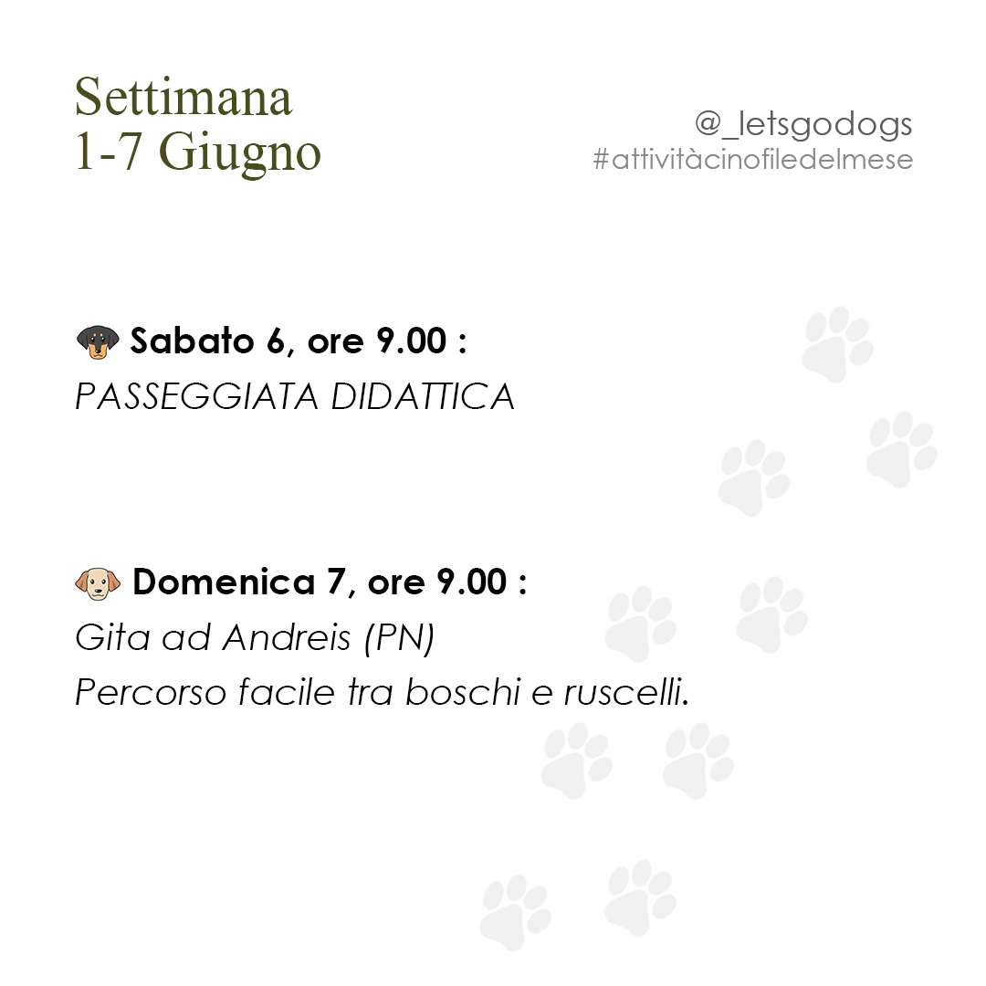Slide 1 giugno 2026