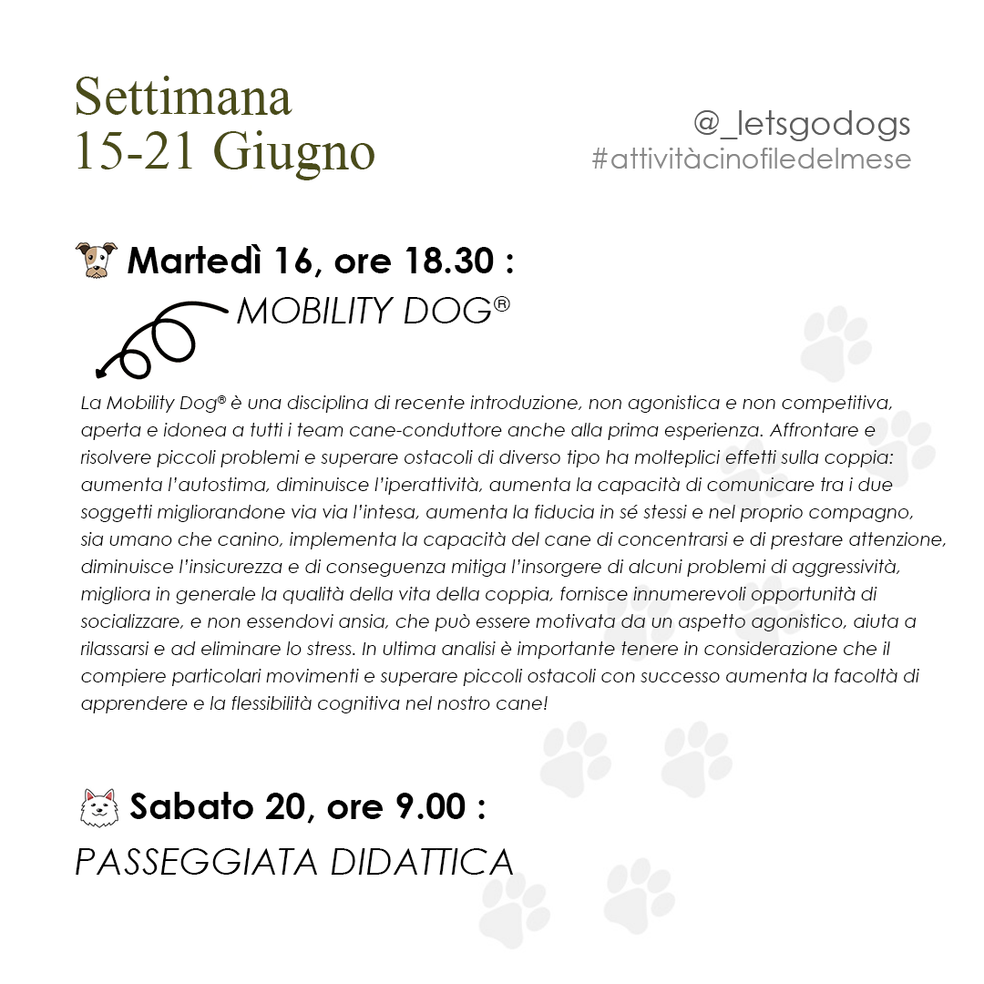 Slide 3 giugno 2026