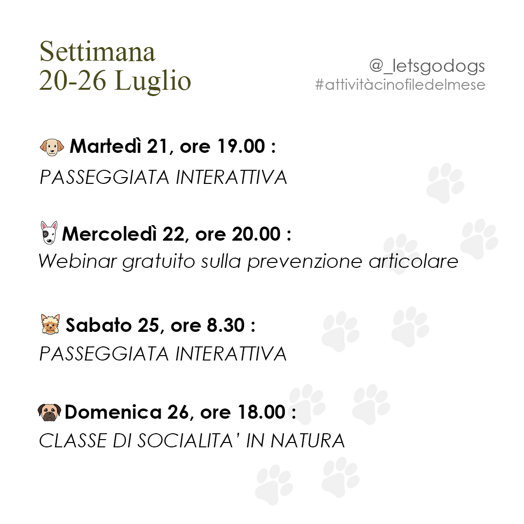 Slide 4 luglio 2026