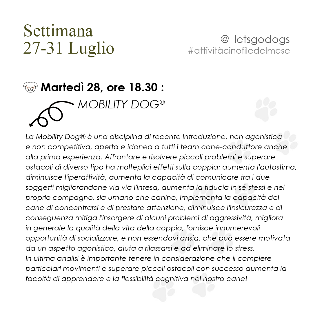 Slide 5 luglio 2026