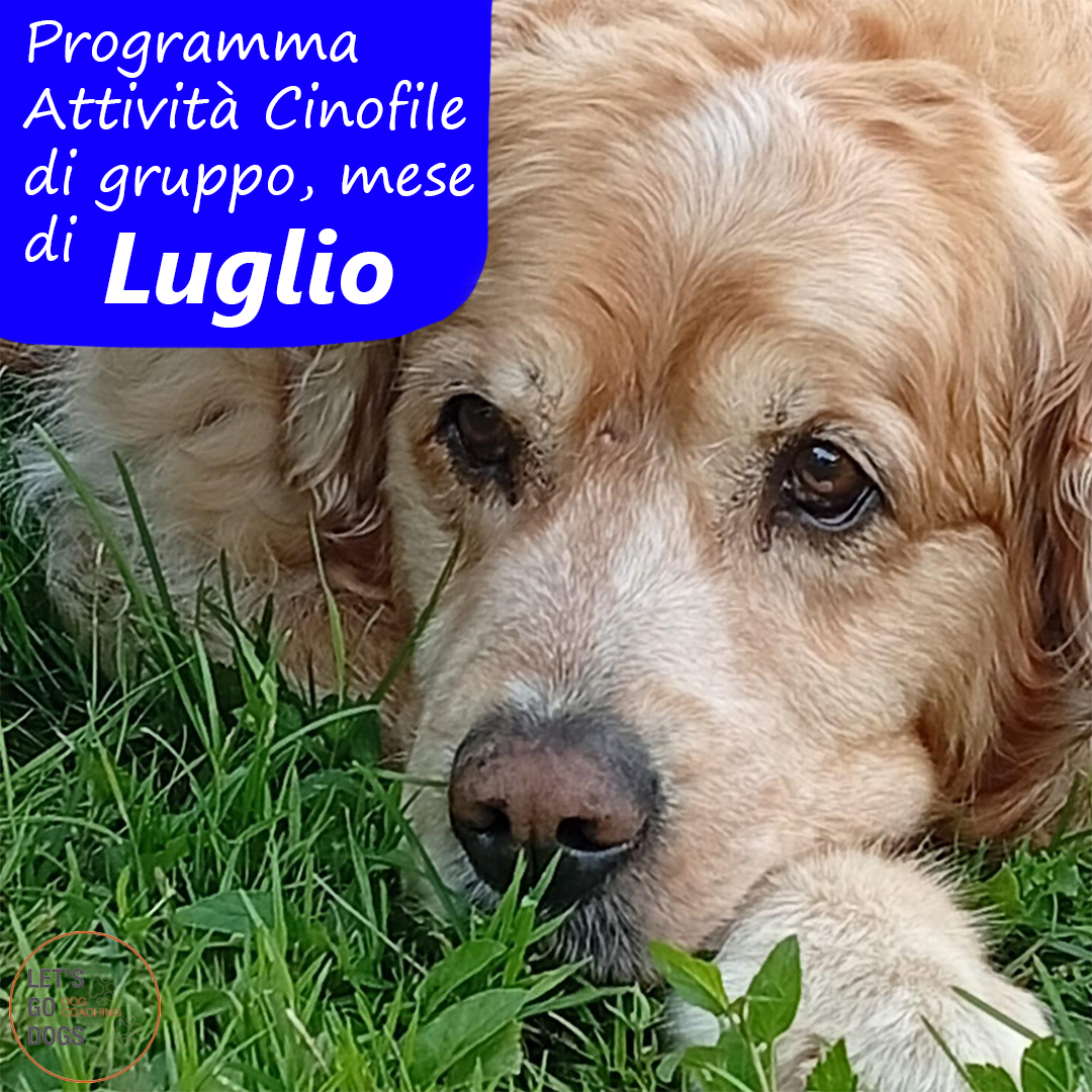 Slide Copertina luglio 2026