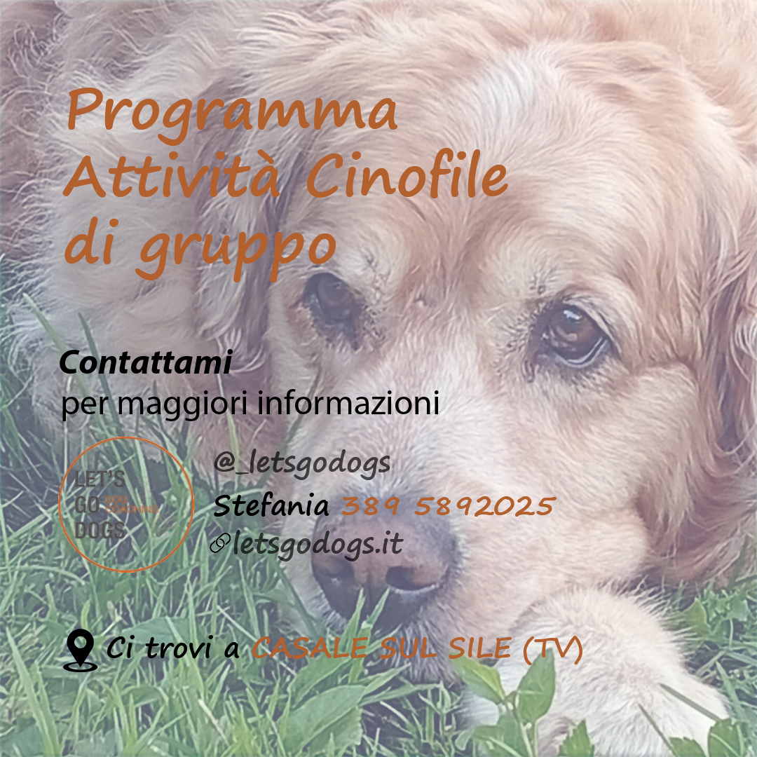 Slide Finale luglio 2026