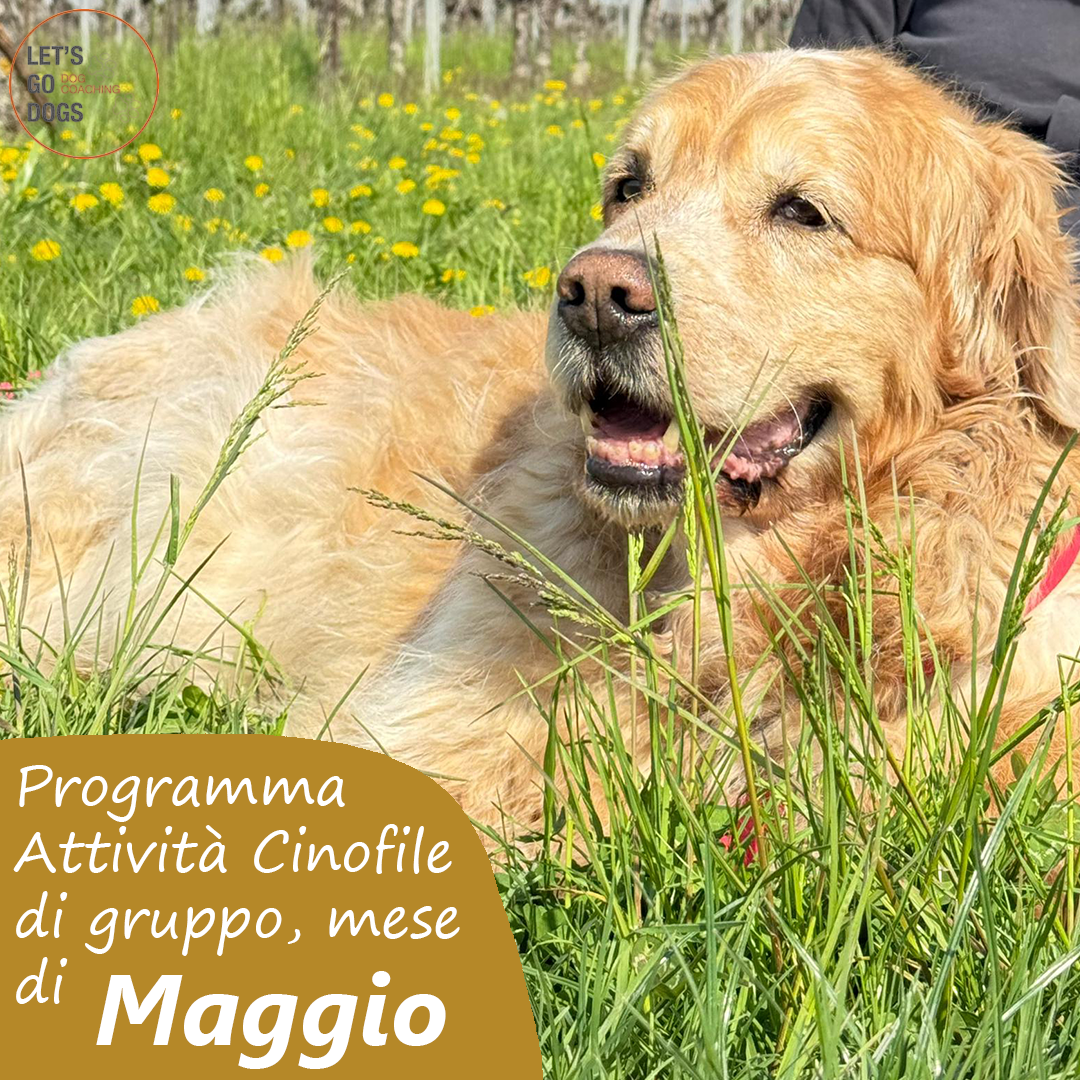 Slide Copertina maggio 2026