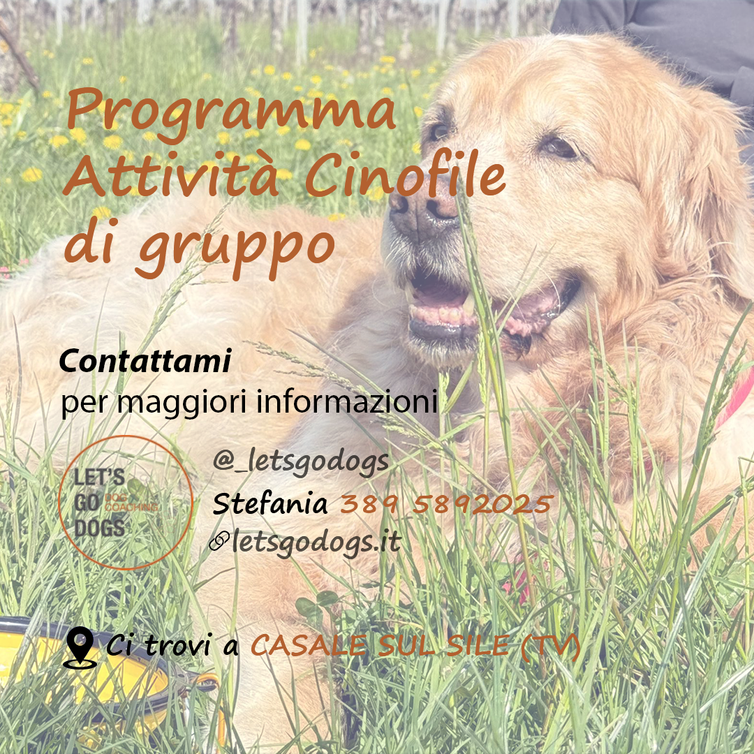 Slide Finale maggio 2026