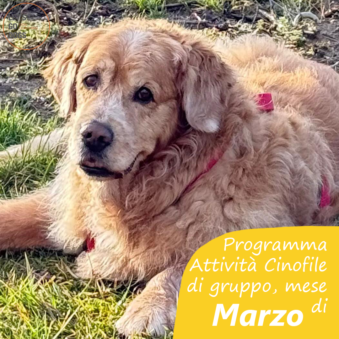 Slide Copertina marzo 2026