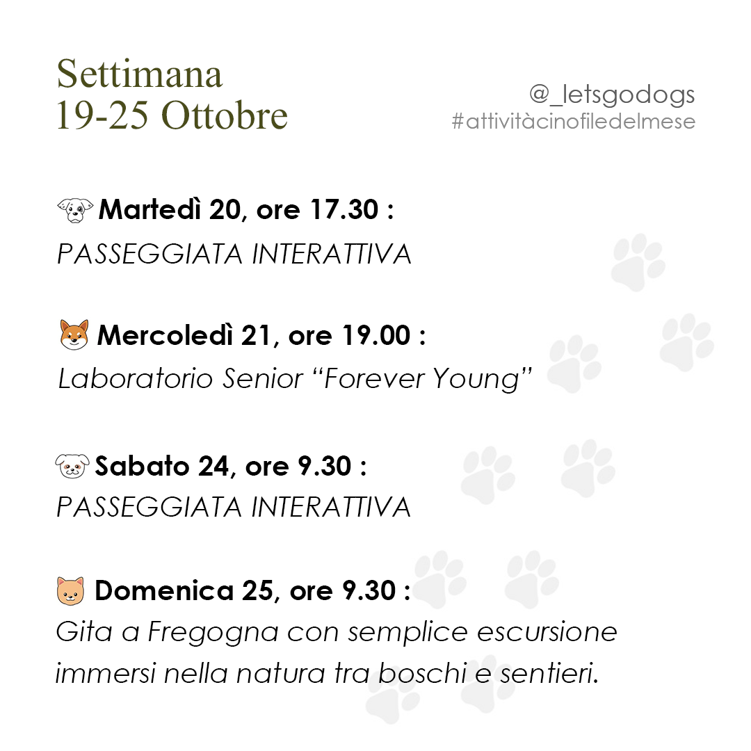 Slide 4 ottobre 2026