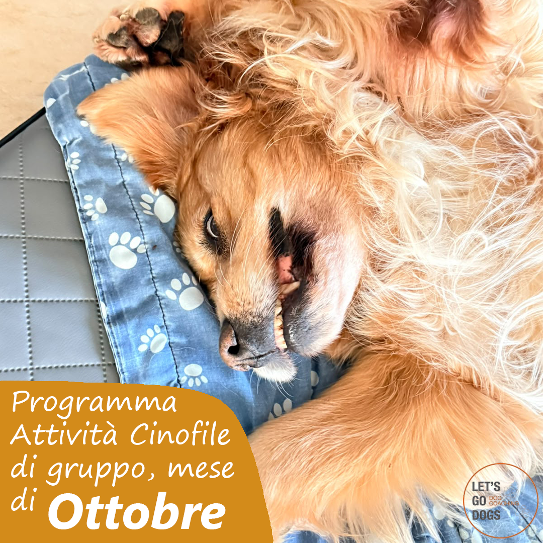Slide Copertina ottobre 2026