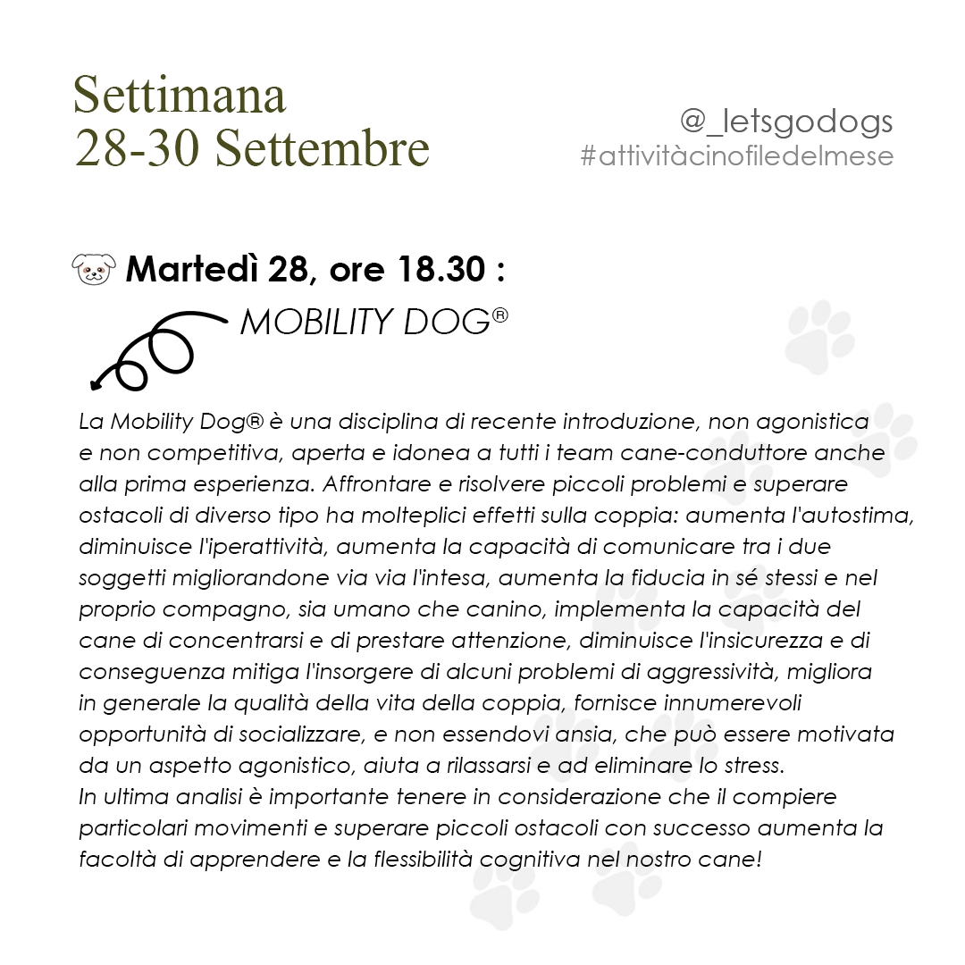 Slide 4 settembre 2026