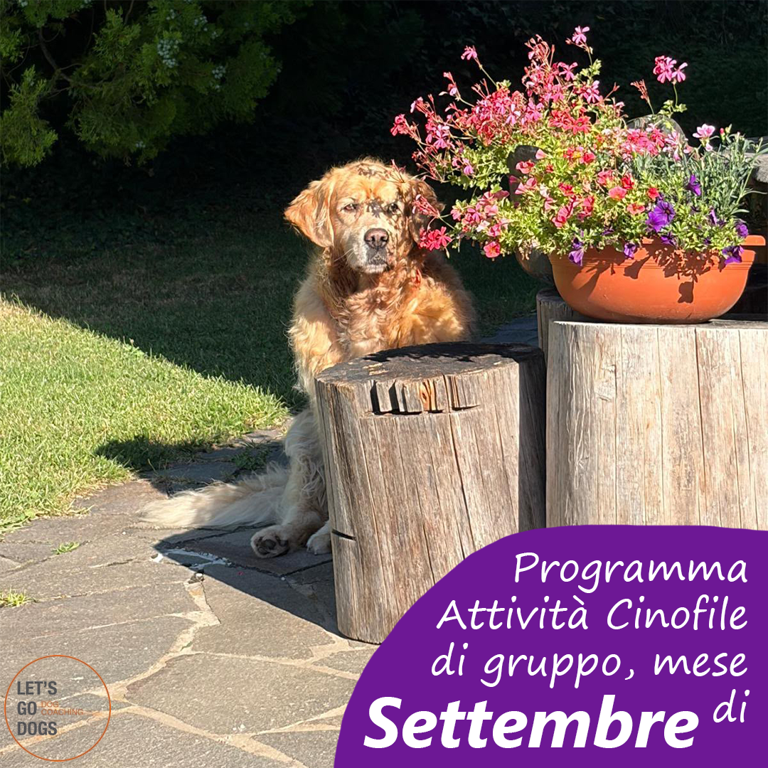 Slide Copertina settembre 2026
