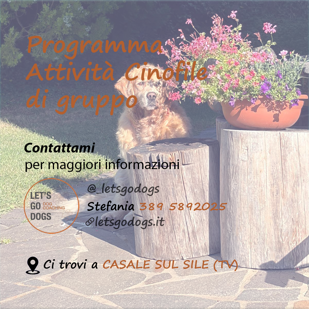 Slide Finale settembre 2026